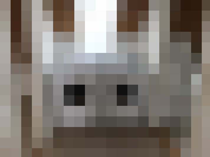  / #15