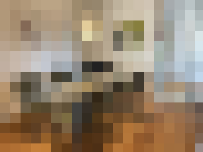  / #15