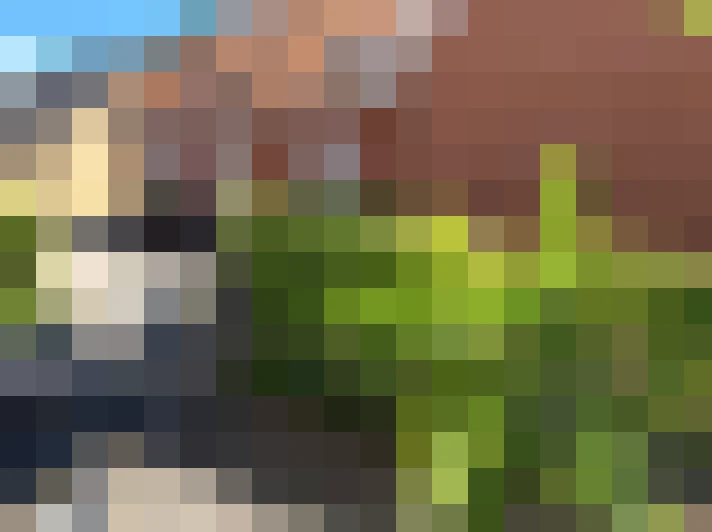  / #5