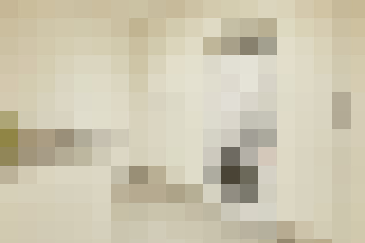  / #17