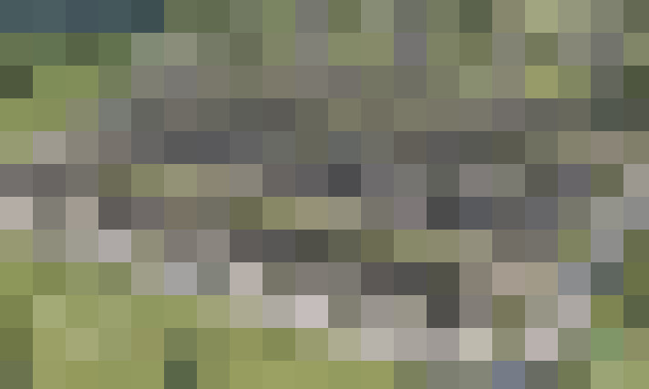 / #8