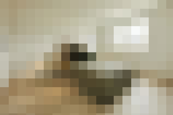  / #13