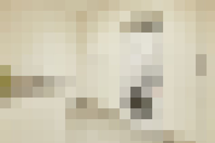  / #16