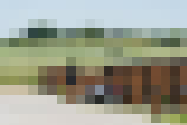  / #13