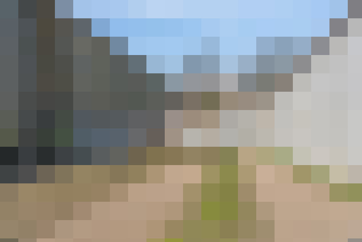  / #5