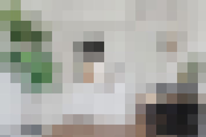  / #17