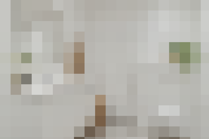  / #18
