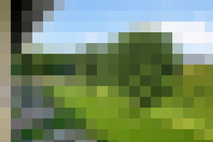  / #13