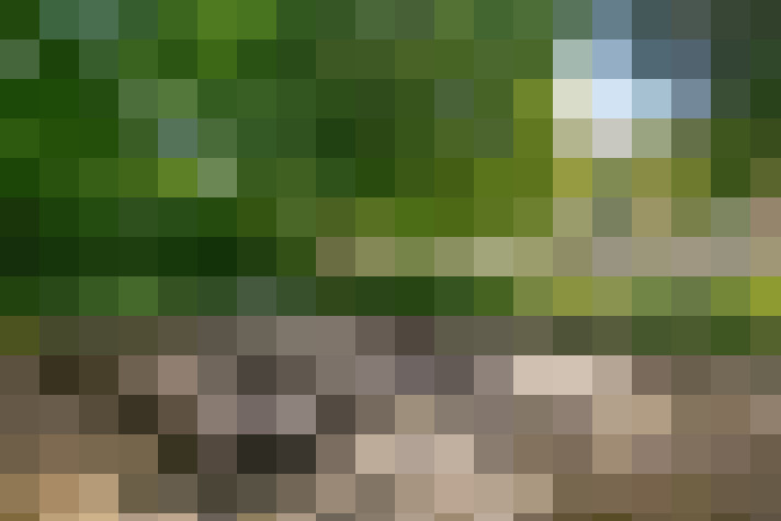  / #15