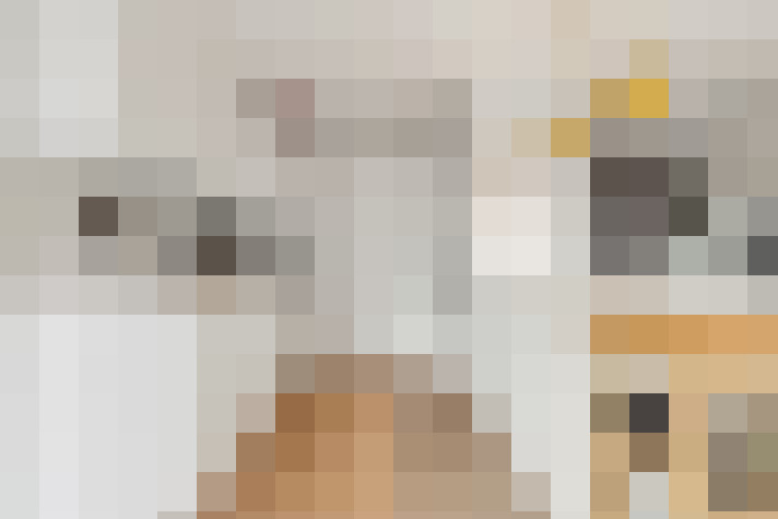  / #12