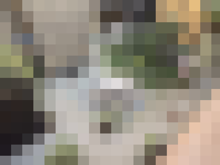  / #13