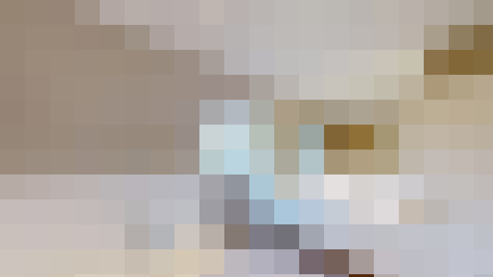  / #17