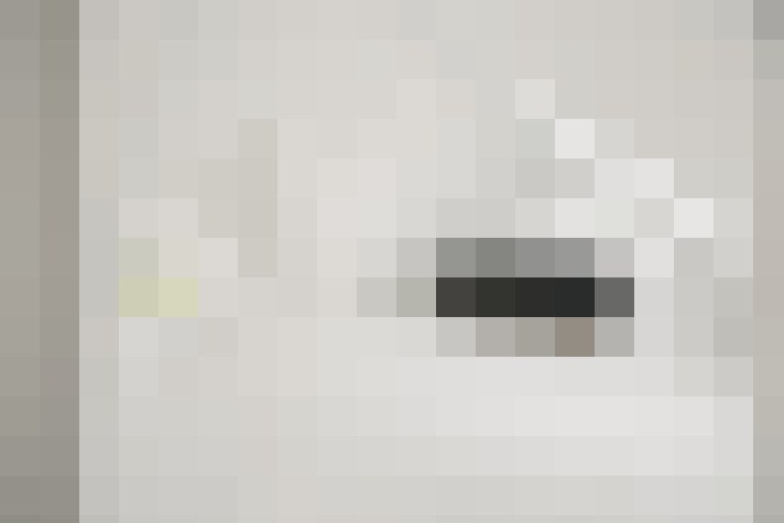  / #19