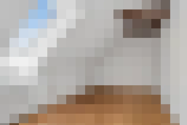  / #20