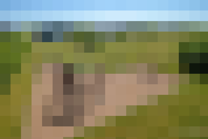 / #14