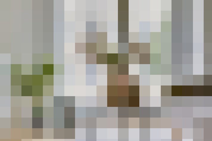  / #17
