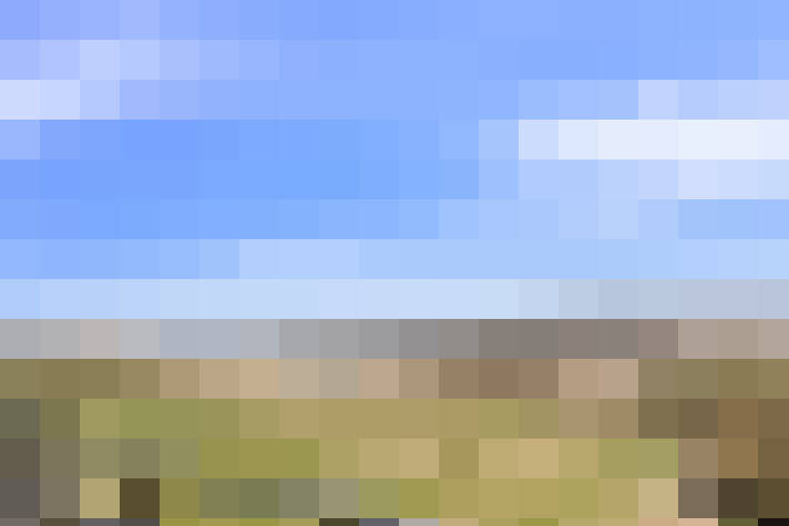  / #16