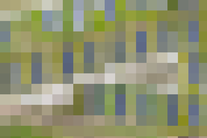  / #16