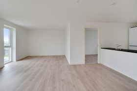 hus i Vejle
