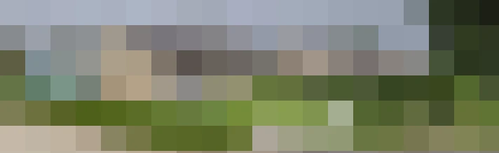  / #16