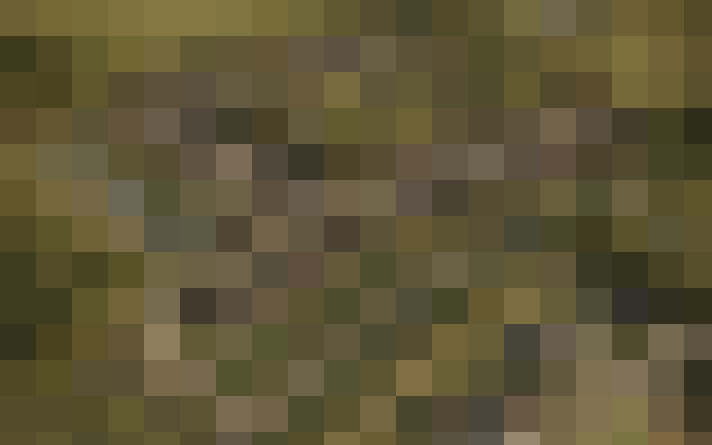  / #20