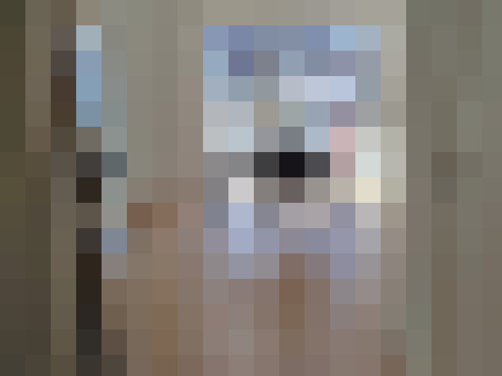  / #8