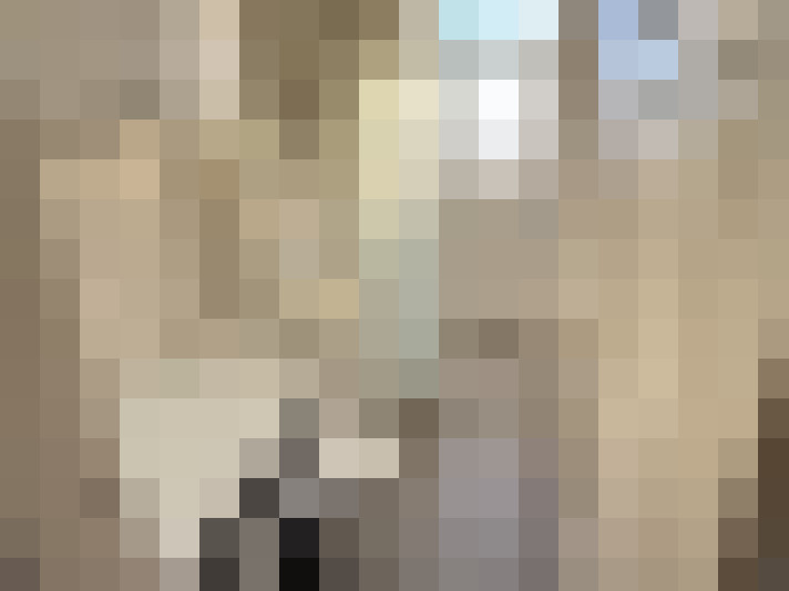  / #15