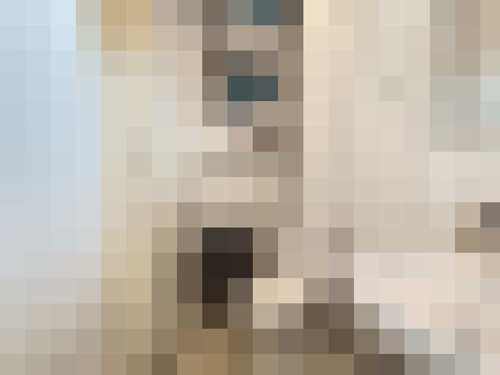  / #12