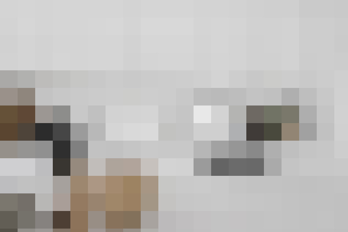  / #11