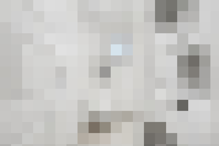  / #12