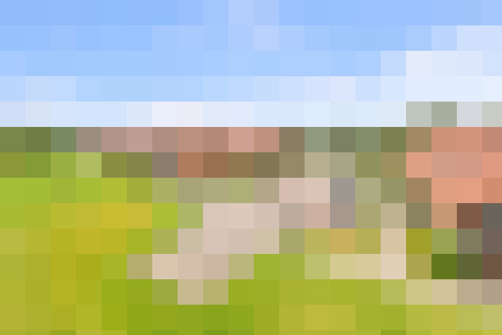  / #16