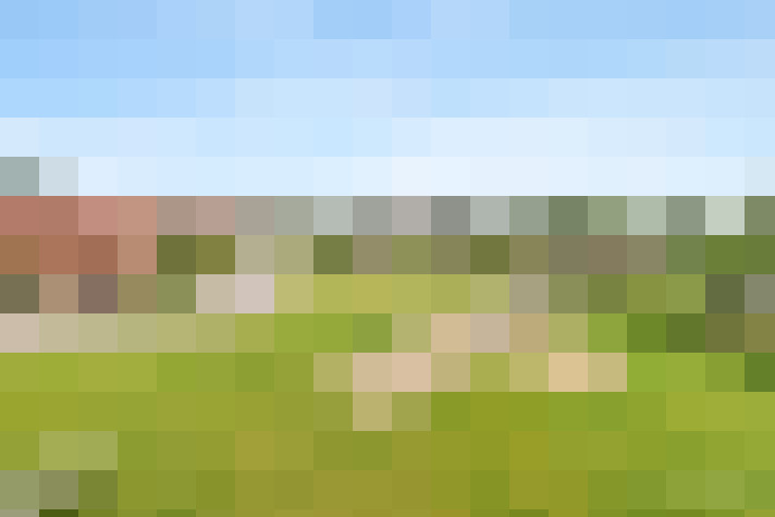  / #17