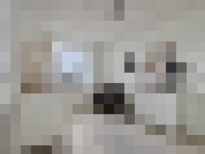  / #9