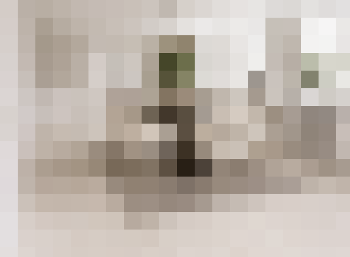  / #20
