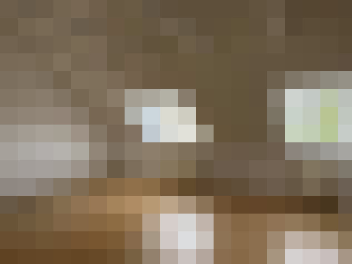  / #15