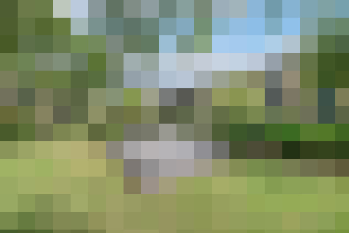  / #18