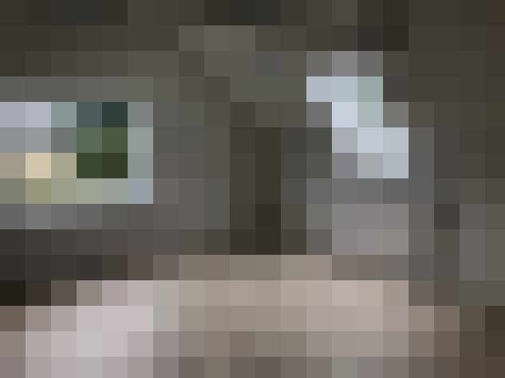  / #15