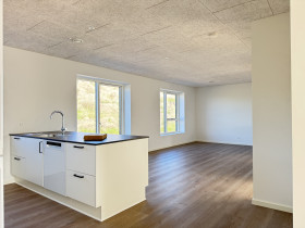 hus i Hedensted