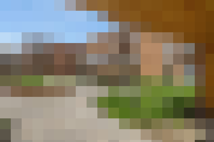  / #6