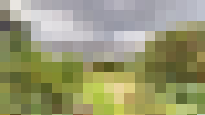  / #16