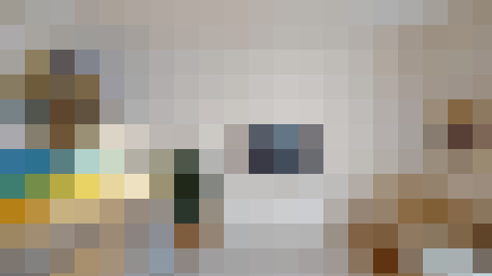  / #21