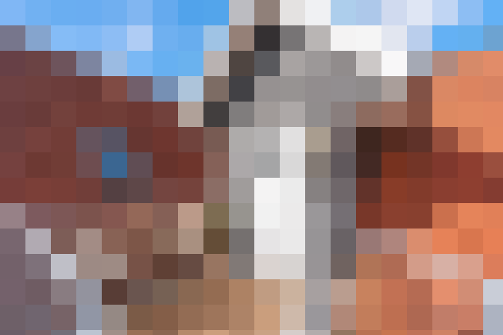  / #14