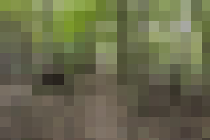  / #16