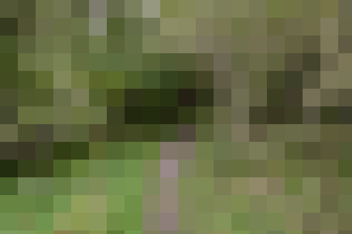  / #15