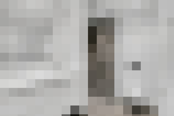  / #11