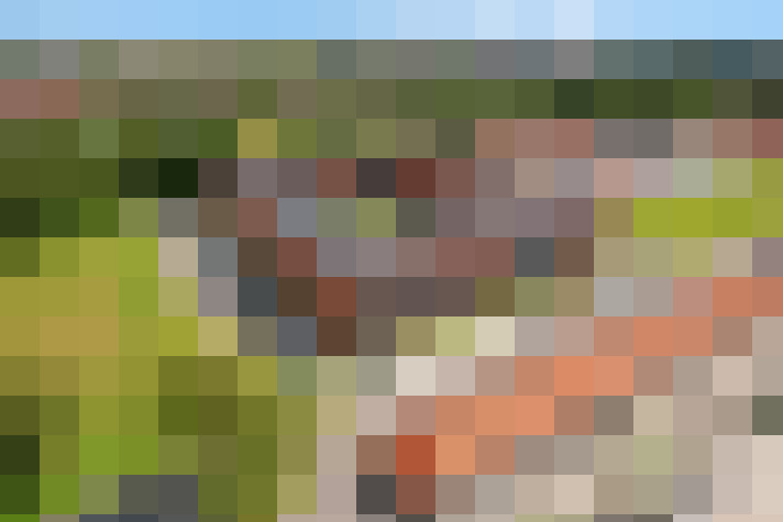  / #15