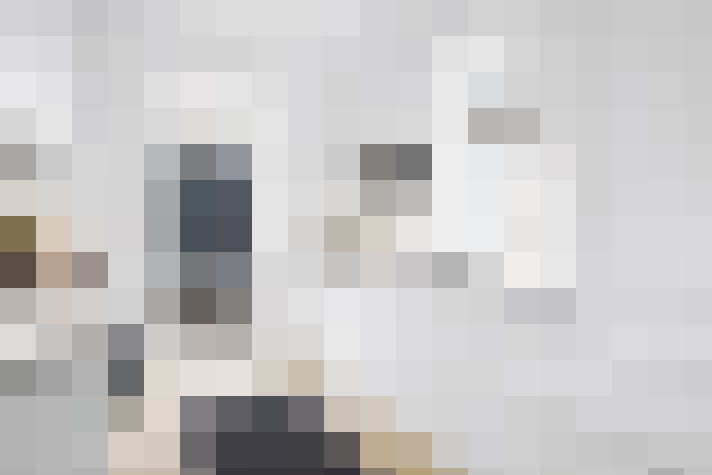  / #14