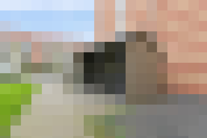  / #14