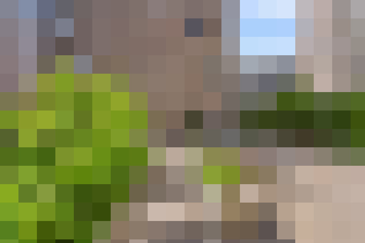  / #19