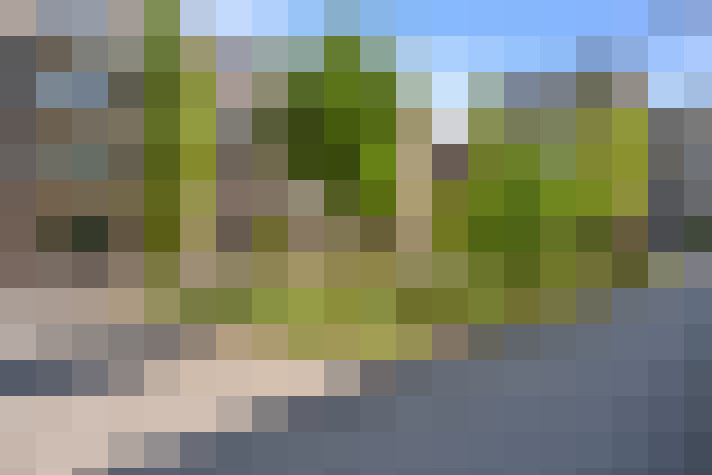  / #18